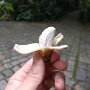IMG_20260430_065632