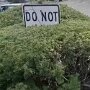 IMG_20260430_065756