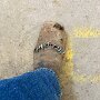 IMG_20260501_070726