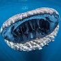 IMG_20260503_080336