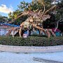 IMG_20260506_074748