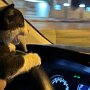 IMG_20260510_101951