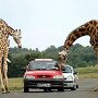 IMG_20260510_102110