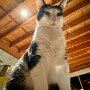 IMG_20260512_065704