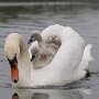 IMG_20260515_071533