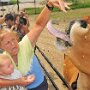 IMG_20260515_071626