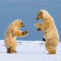 IMG_20260515_071650