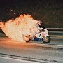 IMG_20260516_081245