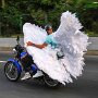 IMG_20260518_063945