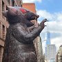 IMG_20260520_070444