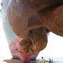 IMG_20260520_070531