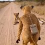IMG_20260521_072333