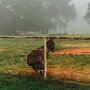 IMG_20260523_074112