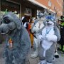 IMG_20260525_085353