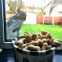 IMG_20260529_055617