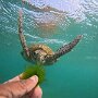 IMG_20260529_055806