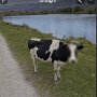 IMG_20260530_084311