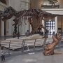 IMG_20260530_084401