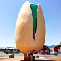 IMG_20260531_065555