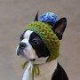 IMG_20260501_070559