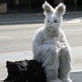 IMG_20260622_070721