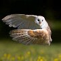 IMG_20260622_070746