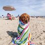 IMG_20260801_141726