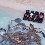 IMG_20260804_140804