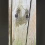 IMG_20260804_140941