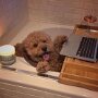 IMG_20260805_141412