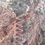 IMG_20260807_144002
