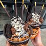 IMG_20260808_134302