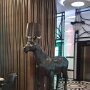 IMG_20260809_150653