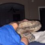 IMG_20260811_010709