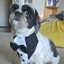 IMG_20260815_133017