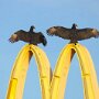 IMG_20260816_131007