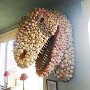 IMG_20260820_134704
