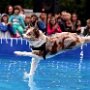 IMG_20260821_143207