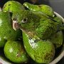 IMG_20260823_152252