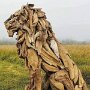 IMG_20260824_133617