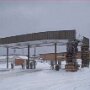 IMG_20260825_140609