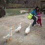 IMG_20260831_135650