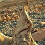 IMG_20260902_140620
