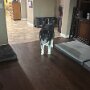 IMG_20260905_063319