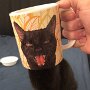 IMG_20260906_144918