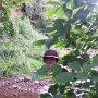 IMG_20260906_144935