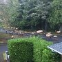 IMG_20260906_145045