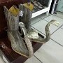 IMG_20260906_145105