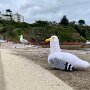 IMG_20260907_155354