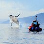 IMG_20260909_135758